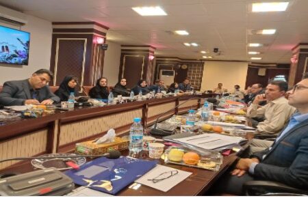 نشست مشترک مدیران ارشد بیمه دانا و شرکت‌های تابعه وزارت نیرو در کرمان