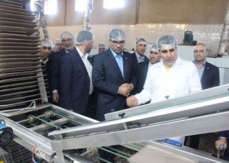 ۴۰۰ میلیارد ریال تسهیلات بانک توسعه تعاون برای افزایش ظرفیت تولیدی شرکت زرین ظفر خرم‌آباد