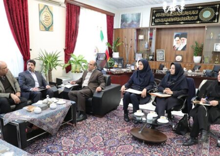 بررسی سه طرح پژوهشی در نشست کمیته‌های راهبری طرح‌های پژوهشی بانک ملی ایران