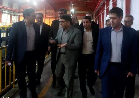 بازدید قائم مقام وزیر صمت در امور بازرگانی از واحدهای صنعتی و تولیدی استان ایلام