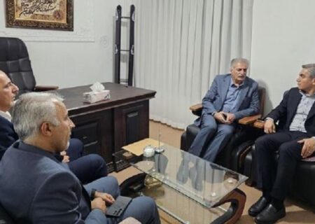 عملکرد بانک مسکن در طرح نهضت ملی مسکن مطلوب است