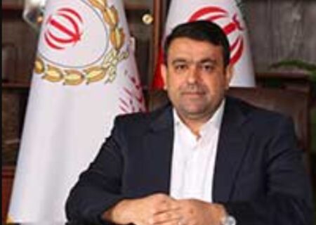 پیام تبریک مدیرعامل بانک ملی ایران به مناسبت هفته دولت و روز کارمند