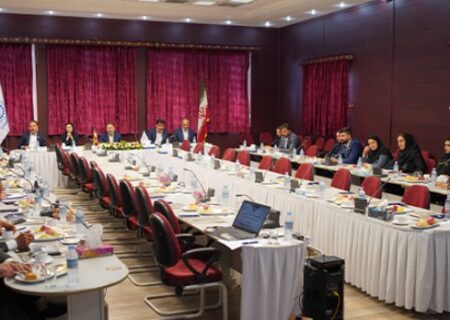 نشست هم اندیشی نمایندگان و کارگزاران استان کردستان با مدیرعامل بیمه تعاون