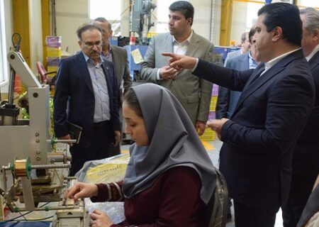 بازدید مدیرعامل و مدیران ارشد بانک توسعه صادرات ایران از شرکت صادر‌کننده نمونه کشوری