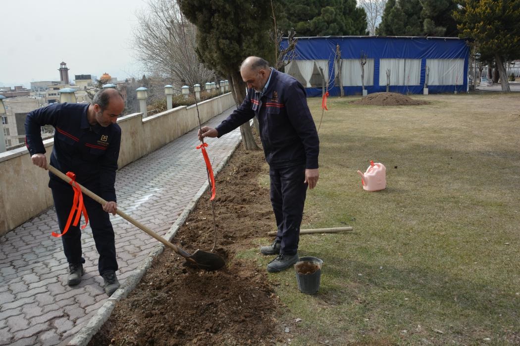 کاشت نهال در بانک صنعت و معدن به مناسبت روز درختکاری؛ گامی سبز در مسیر توسعه پایدار