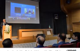 سرمایه‌گذاری ۱۶۵۰ میلیاردی همراه اول در استان فارس از ابتدای دولت چهاردهم